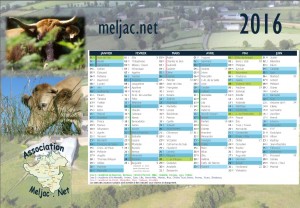 calendrier_2016_01