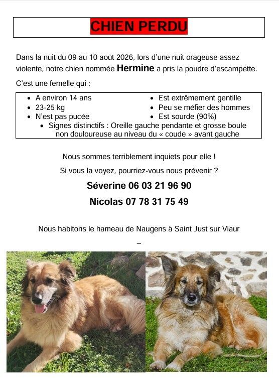 Chien perdu (hameau de Naugens à St-Just-sur-Viaur).